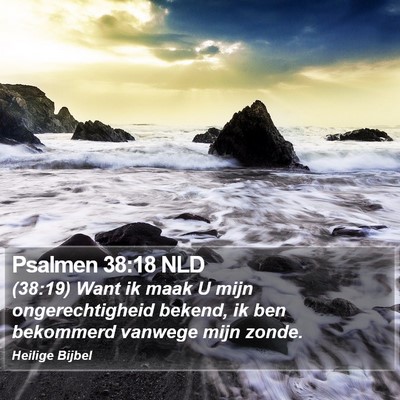 Psalmen 38:18 NLD Bible Verse Image