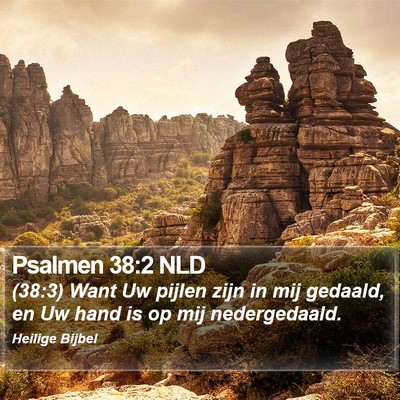 Psalmen 38:2 NLD Bible Verse Image