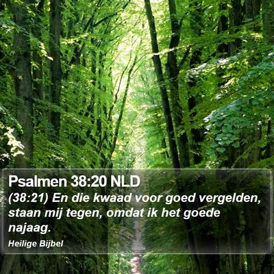 Psalmen 38:20 NLD Bible Verse Image