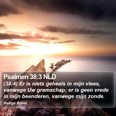 Psalmen 38:3 NLD Bible Verse Image