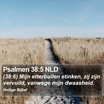 Psalmen 38:5 NLD Bible Verse Image