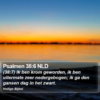 Psalmen 38:6 NLD Bible Verse Image