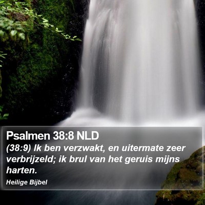 Psalmen 38:8 NLD Bible Verse Image