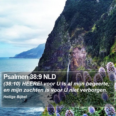 Psalmen 38:9 NLD Bible Verse Image