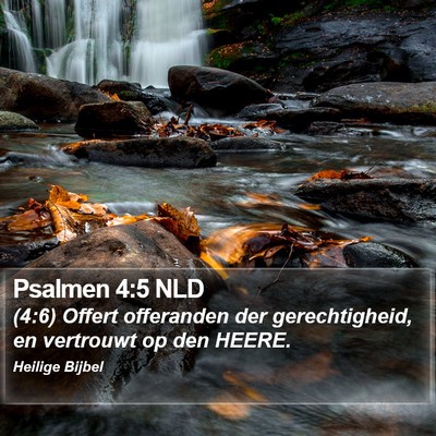 Psalmen 4:5 NLD Bible Verse Image