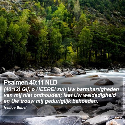 Psalmen 40:11 NLD Bible Verse Image
