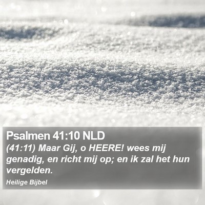 Psalmen 41:10 NLD Bible Verse Image