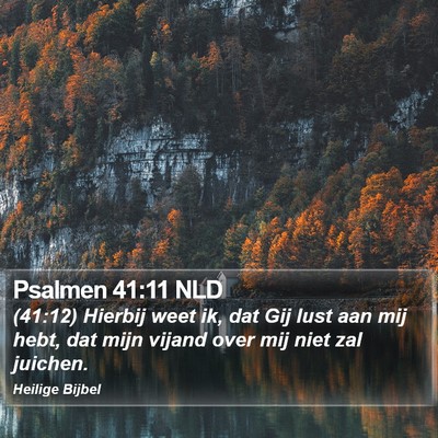 Psalmen 41:11 NLD Bible Verse Image