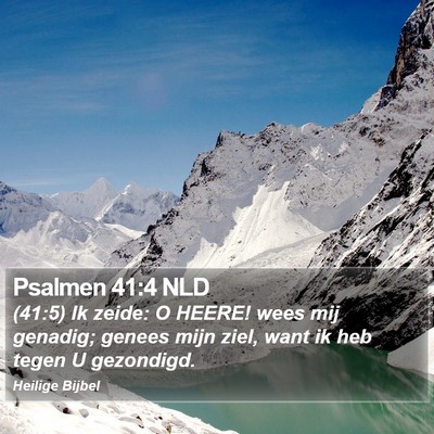 Psalmen 41:4 NLD Bible Verse Image