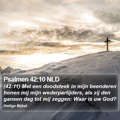 Psalmen 42:10 NLD Bible Verse Image