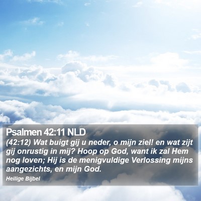 Psalmen 42:11 NLD Bible Verse Image