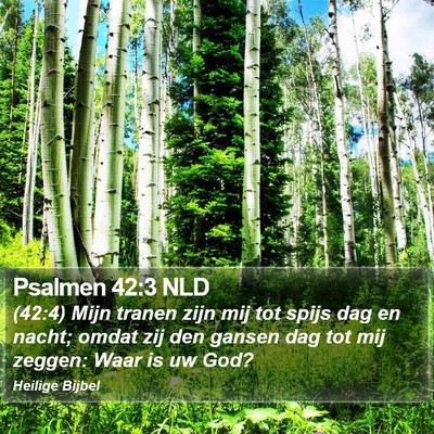 Psalmen 42:3 NLD Bible Verse Image