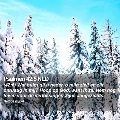 Psalmen 42:5 NLD Bible Verse Image