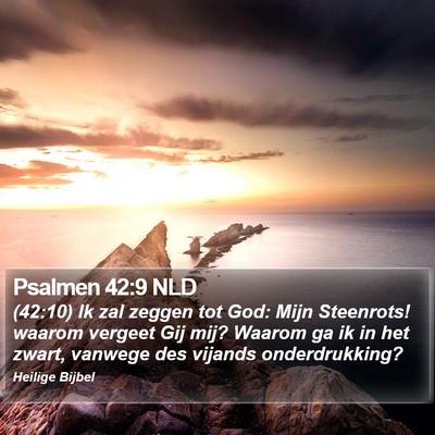 Psalmen 42:9 NLD Bible Verse Image
