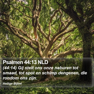 Psalmen 44:13 NLD Bible Verse Image