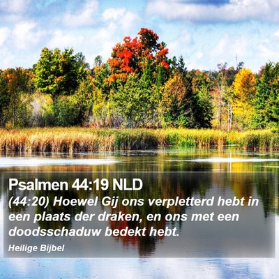Psalmen 44:19 NLD Bible Verse Image