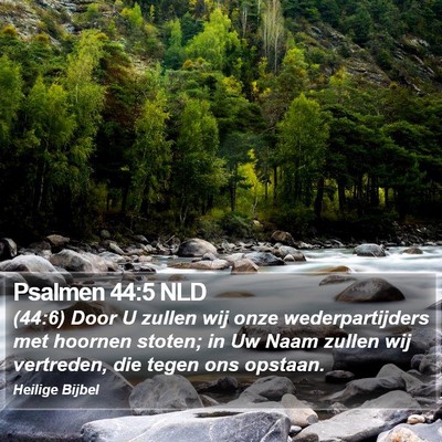 Psalmen 44:5 NLD Bible Verse Image