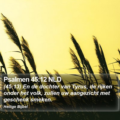 Psalmen 45:12 NLD Bible Verse Image