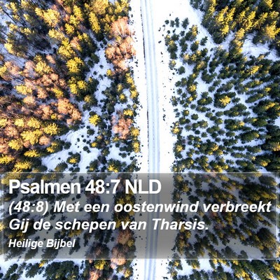 Psalmen 48:7 NLD Bible Verse Image