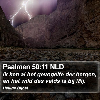 Psalmen 50:11 NLD Bible Verse Image