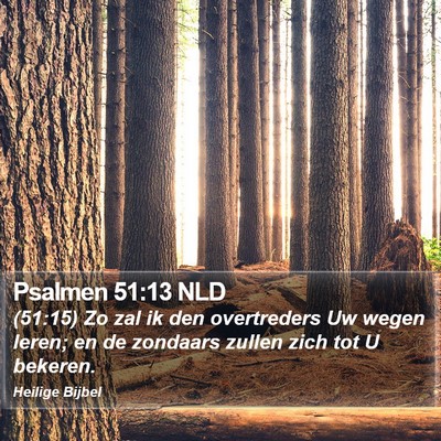 Psalmen 51:13 NLD Bible Verse Image