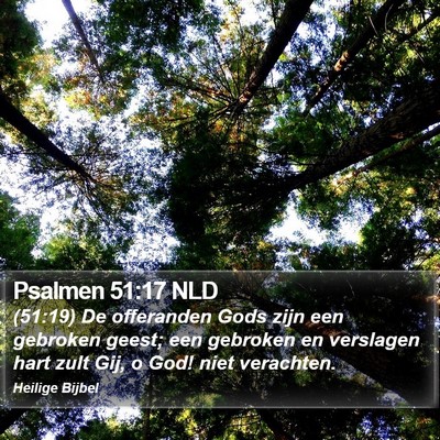 Psalmen 51:17 NLD Bible Verse Image