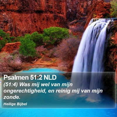 Psalmen 51:2 NLD Bible Verse Image