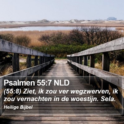 Psalmen 55:7 NLD Bible Verse Image