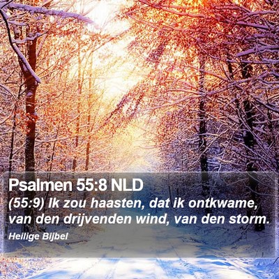Psalmen 55:8 NLD Bible Verse Image