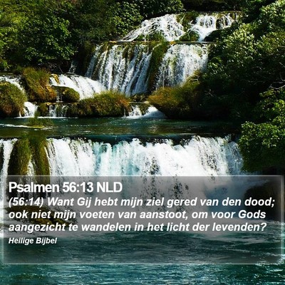 Psalmen 56:13 NLD Bible Verse Image