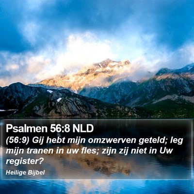 Psalmen 56:8 NLD Bible Verse Image