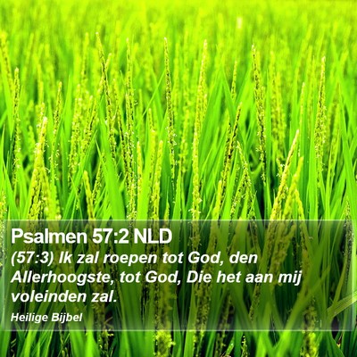 Psalmen 57:2 NLD Bible Verse Image