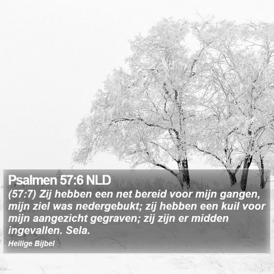Psalmen 57:6 NLD Bible Verse Image