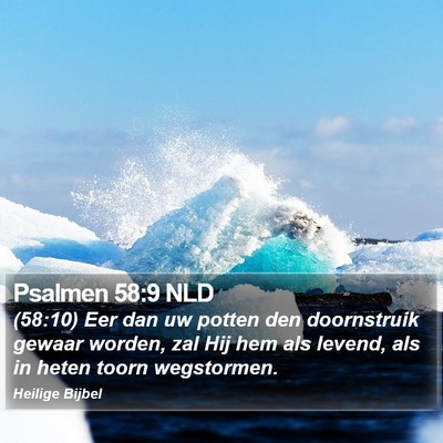 Psalmen 58:9 NLD Bible Verse Image