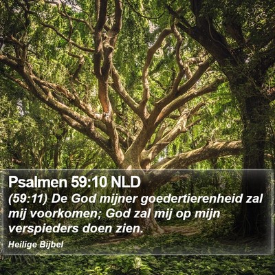 Psalmen 59:10 NLD Bible Verse Image