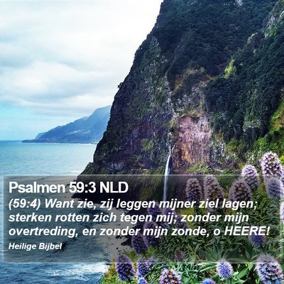 Psalmen 59:3 NLD Bible Verse Image