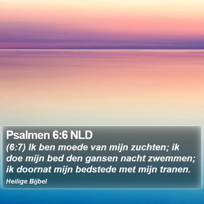 Psalmen 6:6 NLD Bible Verse Image