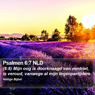 Psalmen 6:7 NLD Bible Verse Image