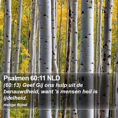 Psalmen 60:11 NLD Bible Verse Image
