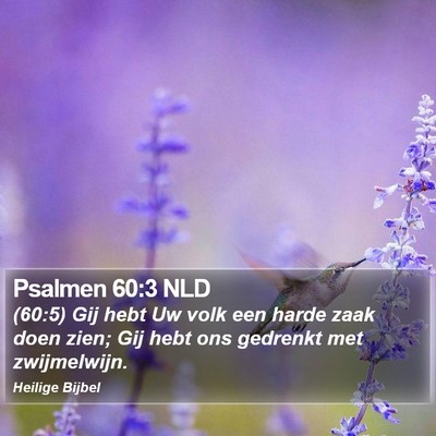 Psalmen 60:3 NLD Bible Verse Image