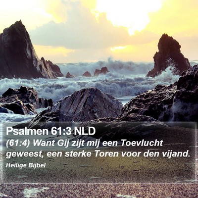 Psalmen 61:3 NLD Bible Verse Image