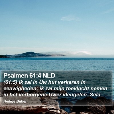 Psalmen 61:4 NLD Bible Verse Image