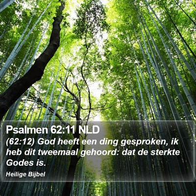 Psalmen 62:11 NLD Bible Verse Image