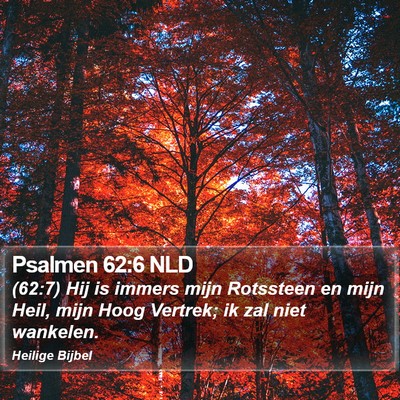 Psalmen 62:6 NLD Bible Verse Image