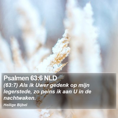 Psalmen 63:6 NLD Bible Verse Image