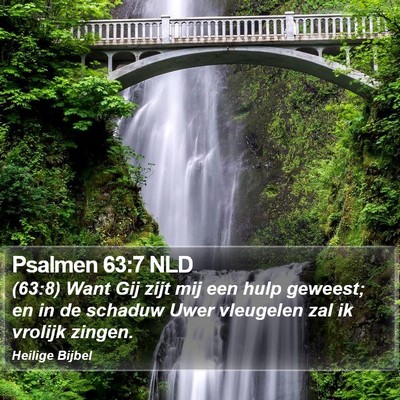 Psalmen 63:7 NLD Bible Verse Image