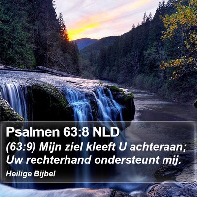 Psalmen 63:8 NLD Bible Verse Image