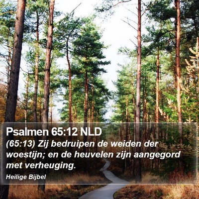 Psalmen 65:12 NLD Bible Verse Image
