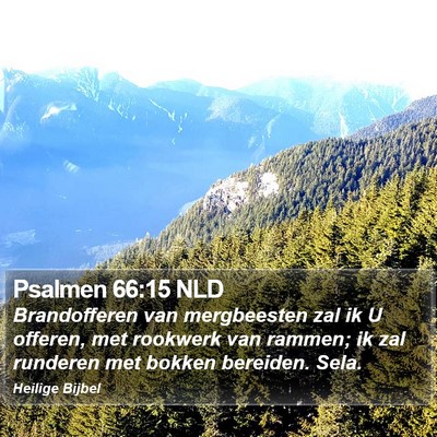 Psalmen 66:15 NLD Bible Verse Image