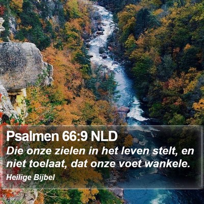 Psalmen 66:9 NLD Bible Verse Image